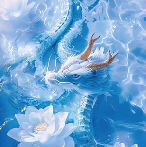 Live Show: Lightweight pants, etc. $6